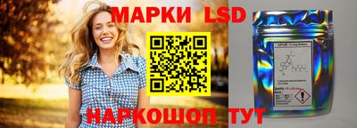 индика Моздок