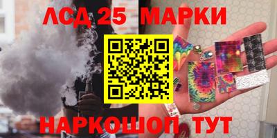 индика Моздок