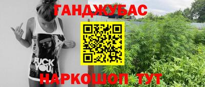 шишки Можайск