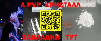 индика Моздок