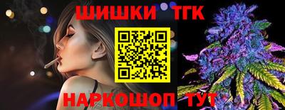 индика Моздок