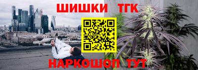 индика Моздок