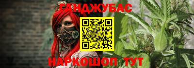индика Моздок
