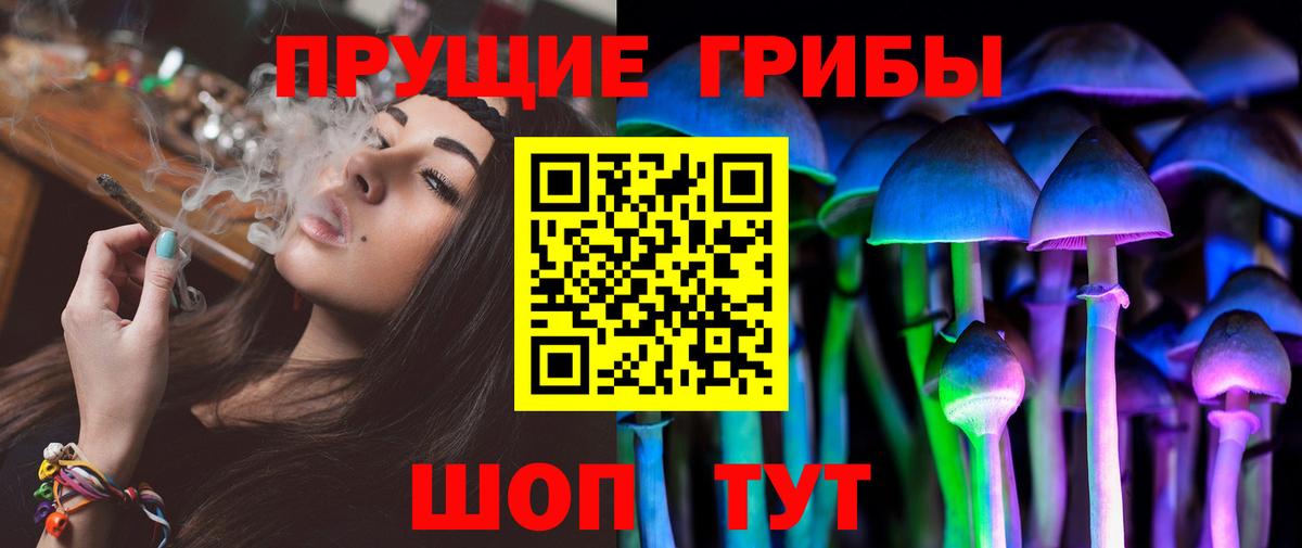 Псилоцибиновые грибы Psilocybine cubensis  Вход с VPN  Вичуга 